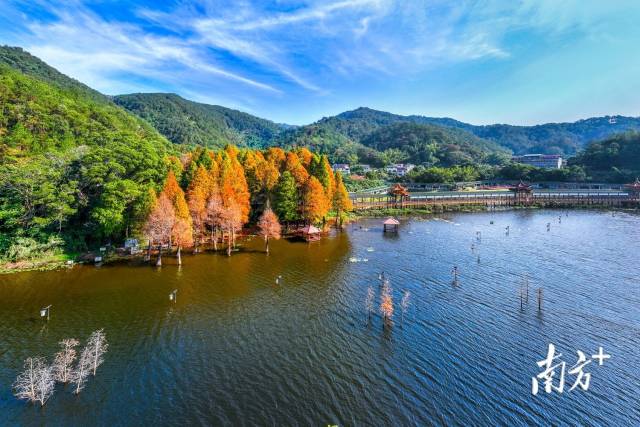 d3161ad532.jpg d3161ad532.jpg